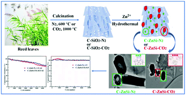 Graphical abstract: Rice-like and rose-like zinc silicates anchored on amorphous carbon derived from natural reed leaves for high-performance supercapacitors