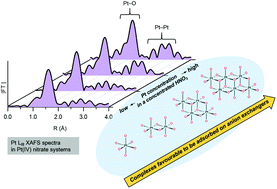 Graphical abstract: Speciation and separation of platinum(iv) polynuclear complexes in concentrated nitric acid solutions