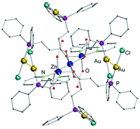 Graphical abstract: Nonanuclear zinc–gold [Zn3Au6] heterobimetallic complexes