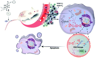 Graphical abstract: ctc-[Pt(NH3)2(cinnamate)(valproate)Cl2] is a highly potent and low-toxic triple action anticancer prodrug