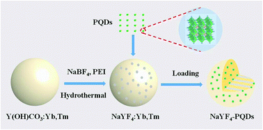 Graphical abstract: Encapsulation of lead halide perovskite quantum dots in mesoporous NaYF4 matrices with enhanced stability for anti-counterfeiting