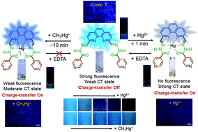 Graphical abstract: A simple strategy for the visual detection and discrimination of Hg2+ and CH3Hg+ species using fluorescent nanoaggregates