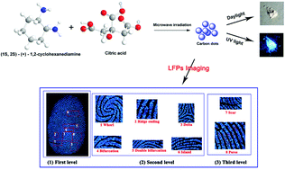 Graphical abstract: The facile preparation of solid-state fluorescent carbon dots with a high fluorescence quantum yield and their application in rapid latent fingerprint detection