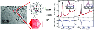 Graphical abstract: Heterometallic Co–Dy SMMs grafted on iron oxide nanoparticles
