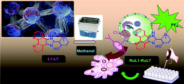 Graphical abstract: GSH-resistant and highly cytoselective ruthenium(ii)-p-cymene-(imidazo[4,5-f][1,10]phenanthrolin-2-yl)phenol complexes as potential anticancer agents