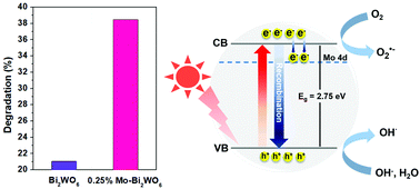 Graphical abstract: Roles of Mo dopant in Bi2WO6 for enhancing photocatalytic activities