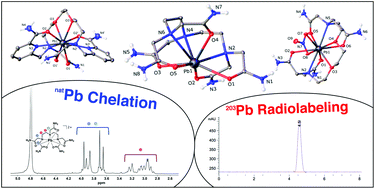 Graphical abstract: Getting a lead on Pb2+-amide chelators for 203/212Pb radiopharmaceuticals