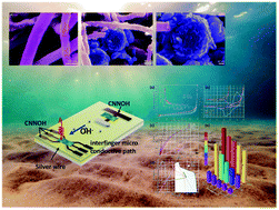 Graphical abstract: The fabrication of flexible wearable electrodes based on a carbon nanotubes/nickel/nickelous hydroxide ternary composite by facile single-side printing technology