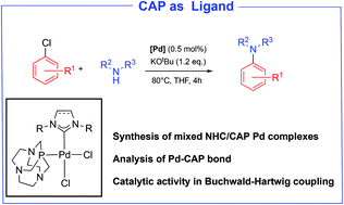 Graphical abstract: Synthesis and catalytic activity of palladium complexes bearing N-heterocyclic carbenes (NHCs) and 1,4,7-triaza-9-phosphatricyclo[5.3.2.1]tridecane (CAP) ligands