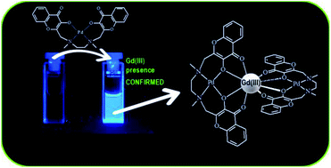 Graphical abstract: A selective fluorescent probe for gadoliniumIII in water based on a PdII-preorganized chromone-receptor