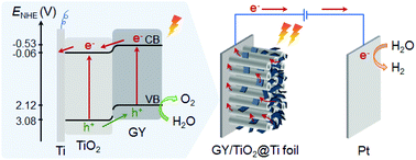 Graphical abstract: Assembling γ-graphyne surrounding TiO2 nanotube arrays: an efficient p–n heterojunction for boosting photoelectrochemical water splitting