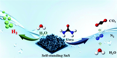 Graphical abstract: Self-standing SnS nanosheet array: a bifunctional binder-free thin film catalyst for electrochemical hydrogen generation and wastewater treatment