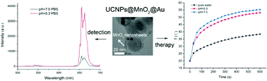 Graphical abstract: The pH responsive upconversion fluorescence and photothermal conversion properties of NaYF4:Yb3+/Er3+@NaYF4@MnO2@Au