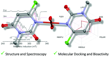 Graphical abstract: Coupling 6-chloro-3-methyluracil with copper: structural features, theoretical analysis, and biofunctional properties