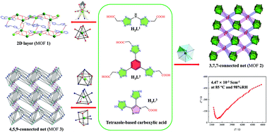 Graphical abstract: Ba-MOFs with tetrazole-based acetic acids: unusual configuration, novel topology and high proton conductivity