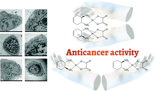 Graphical abstract: Effect of chirality on the anticancer activity of Pt(ii) and Pt(iv) complexes containing 1R,2R and 1S,2S enantiomers of the trans-1,2-diamino-4-cyclohexene ligand (DACHEX), an analogue of diaminocyclohexane used in oxaliplatin