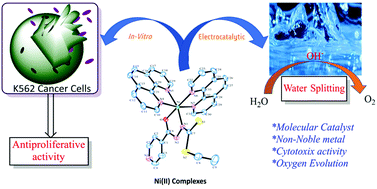 Graphical abstract: Antiproliferative activity and electrochemical oxygen evolution by Ni(ii) complexes of N′-(aroyl)-hydrazine carbodithioates