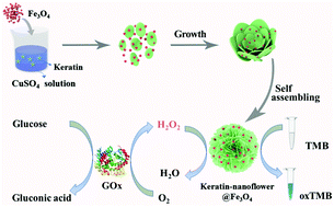 Graphical abstract: Keratin-inorganic hybrid nanoflowers decorated with Fe3O4 nanoparticles as enzyme mimics for colorimetric detection of glucose