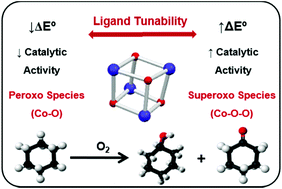 Graphical abstract: Tailoring the electron density of cobalt oxide clusters to provide highly selective superoxide and peroxide species for aerobic cyclohexane oxidation