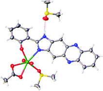 Graphical abstract: Comparing coordination uranyl(vi) complexes with 2-(1H-imidazo[4,5-b]phenazin-2-yl)phenol and derivatives