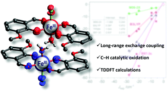 Graphical abstract: A novel o-vanillin Fe(iii) complex catalytically active in C–H oxidation: exploring the magnetic exchange interactions and spectroscopic properties with different DFT functionals