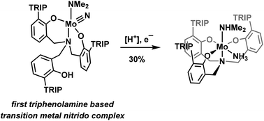 Graphical abstract: Reduction of highly bulky triphenolamine molybdenum nitrido and chloride complexes