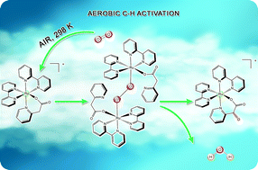 Graphical abstract: Mechanistic investigation of the aerobic oxidation of 2-pyridylacetate coordinated to a Ru(ii) polypyridyl complex