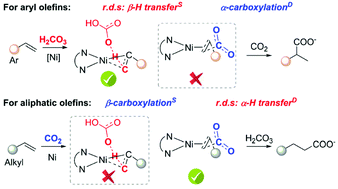 Graphical abstract: DFT insights into the Ni-catalyzed regioselective hydrocarboxylation of unsaturated alkenes with CO2
