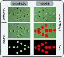 Graphical abstract: Narrowband ultraviolet-B persistent luminescence from (Y,Gd)3Ga5O12:Bi3+ phosphors for optical tagging application