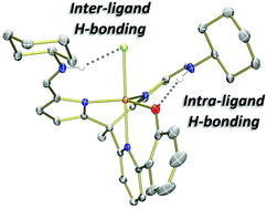 Graphical abstract: Synthesis of a series of M(ii) (M = Mn, Fe, Co) chloride complexes with both inter- and intra-ligand hydrogen bonding interactions