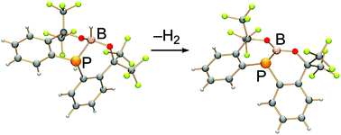 Graphical abstract: Synthesis and structure of a phosphinoboronic ester in a fused bicyclic framework