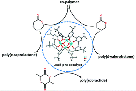 Graphical abstract: Lead calix[n]arenes (n = 4, 6, 8): structures and ring opening homo-/co-polymerization capability for cyclic esters