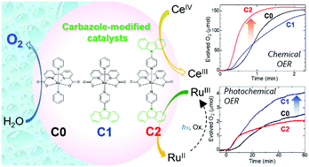 Graphical abstract: Carbazole modification of ruthenium bipyridine–dicarboxylate oxygen evolution molecular catalysts