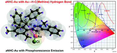 Graphical abstract: A gold(i) 1,2,3-triazolylidene complex featuring the interaction between gold and methine hydrogen