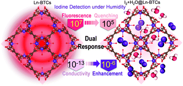 Graphical abstract: Fluorescence and electrochemical detection of iodine vapor in the presence of high humidity using Ln-based MOFs