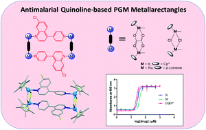 Graphical abstract: Modular synthesis of antimalarial quinoline-based PGM metallarectangles
