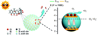 Graphical abstract: Probing the role of surface acid sites on the photocatalytic degradation of tetracycline hydrochloride over cerium doped CdS via experiments and theoretical calculations