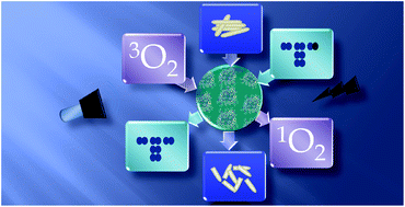 Graphical abstract: Photophysicochemical, sonochemical, and biological properties of novel hexadeca-substituted phthalocyanines bearing fluorinated groups