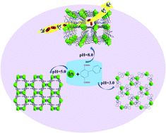 Graphical abstract: pH-Dependent formation of three porous In(iii)-MOFs: framework diversity and selective gas adsorption