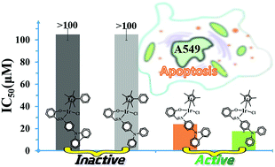 Graphical abstract: Preparation and antitumor application of N-phenylcarbazole/triphenylamine-modified fluorescent half-sandwich iridium(iii) Schiff base complexes
