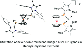 Graphical abstract: Application of ferrocene-bridged N-heterocyclic carbene stabilised bis-phosphinidenes in Sn(ii) complexation