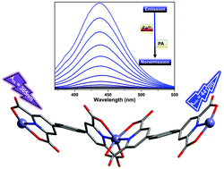 Graphical abstract: A hydrostable Zn2+ coordination polymer for multifunctional detection of inorganic and organic contaminants in water