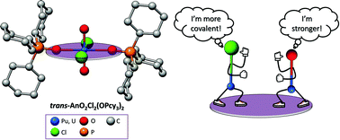Graphical abstract: Synthesis, characterization, and theoretical analysis of a plutonyl phosphine oxide complex