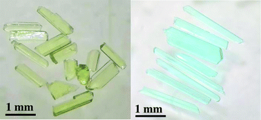 Graphical abstract: Synthesis, structure and magnetic properties of two new spin-chain compounds Ca2Ni(HSeO3)2(SeO3)2 and Na2Cu(SeO3)2·2H2O