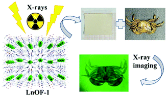 Graphical abstract: Isotypic lanthanide–organic frameworks and scintillating films with colour-tunable X-ray radioluminescence for imaging applications