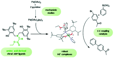 Graphical abstract: Amino acid-derived bisphenolate palladium complexes as C–C coupling catalysts