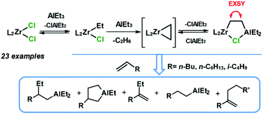 Graphical abstract: Zirconocene dichlorides as catalysts in alkene carbo- and cyclometalation by AlEt3: intermediate structures and dynamics