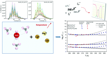 Graphical abstract: Effect of temperature on the complexation of triscarbonatouranyl(vi) with calcium and magnesium in NaCl aqueous solution