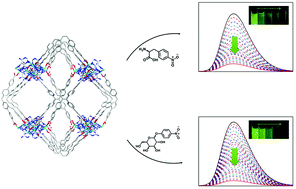 Graphical abstract: A biological luminescent metal–organic framework with high fluorescence quantum yield for the selective detection of amino acids and monosaccharides