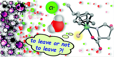 Graphical abstract: Role of the (pseudo)halido ligand in ruthenium(ii) p-cymene α-amino acid complexes in speciation, protein reactivity and cytotoxicity